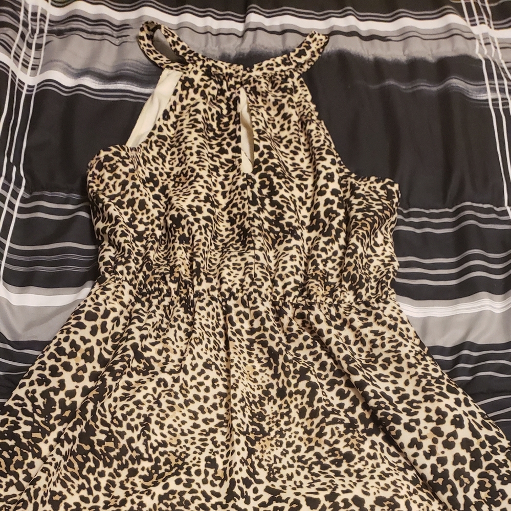 Dress - Picture 3 of 3